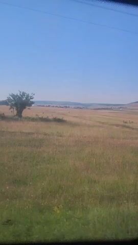 The video shows a landscape scene from a moving vehicle. The view is through a windshield, indicated by the reflection of the sky and a wire. The environment is a vast, open field with dry grass and some green patches. In the distance, a small town or settlement is visible, along with hills on the horizon under a clear blue sky. A single tree stands on the left side of the frame. The camera appears to be capturing a view while the vehicle is driving on a dirt road, as evidenced by the texture of the ground in the first frame.