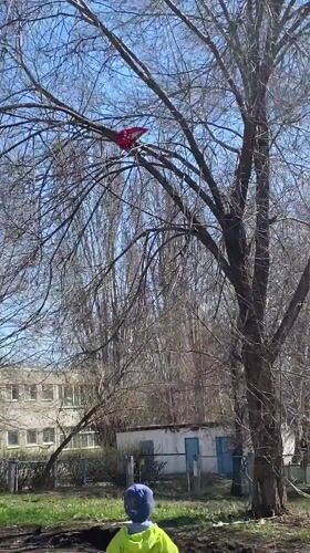 Morning scenes captured across Orenburg: pigeons, traffic, child