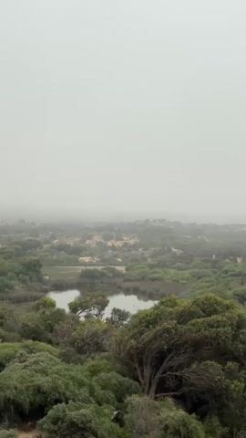 A wide shot shows a landscape covered in dense vegetation and trees, with a body of water visible in the middle distance. The sky is overcast and hazy, obscuring the horizon. The scene is filmed from a slightly elevated perspective, looking down over the rolling hills and foliage. The time stamp on the video is 00:00:00 to 00:00:04.