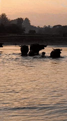 Evening coastal scenes documented across Lhokseumawe Indonesia
