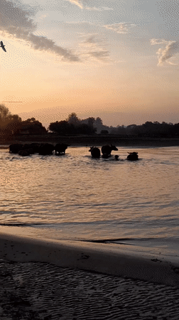 Evening coastal scenes documented across Lhokseumawe Indonesia