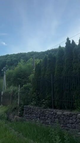 The video presents a static, ground-level view of a fence running along a hillside. The fence is made of dark metal bars. Behind the fence are tall, narrow evergreen trees. A stone wall sits at the base of the fence. Beyond the trees is a heavily wooded hillside covered in lush green vegetation. Telephone poles with wires run alongside the fence. The sky is blue with a few scattered clouds. The overall setting suggests a rural or suburban area near a wooded area.