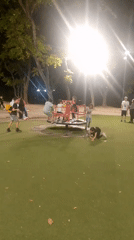Late-night activity along Caracas's Paseo Los Próceres