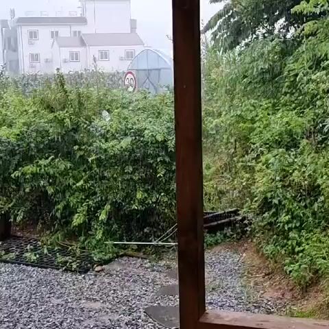 The video shows a scene during a rain shower. In the foreground, a wooden support beam is visible, and the ground is covered in gravel and wet. To the left, a table with a red cylindrical object on it is partially seen, and beyond that, a black metal grate lies on the ground. In the middle ground, lush green foliage forms a dense hedge, with some fallen branches visible. A dark, large ceramic pot sits near the hedge. In the background, a white building with multiple windows can be seen. To the right of the building, a greenhouse with a rounded roof is present, and a traffic sign with a speed limit of 30 is mounted on a pole. Further in the background, a field of crops or vegetation stretches towards a cloudy, overcast sky. The rain is clearly visible, creating streaks in the air and causing the ground to be wet and reflective.