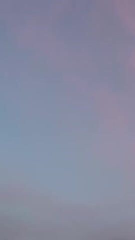 The video shows a sky with light purple and pink clouds. There are power lines visible across the sky. The bottom of the frame shows the silhouette of trees against a brighter, orange-pink sunset sky. The camera appears to be panning upwards or holding still and the scene is a natural environment.