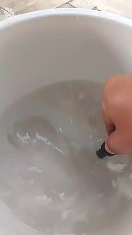 The video shows a close-up view of a white bucket filled with a milky white liquid. A hand is holding a black ladle, and it is stirring the contents of the bucket. Some white fibrous material is visible in the liquid. The ladle is then used to scoop out some of this fibrous material, which appears stringy and wet. The material is then shown dripping back into the bucket as the ladle is lifted. The process of stirring and scooping is repeated. The background shows a textured surface, possibly a floor or wall, which is out of focus.