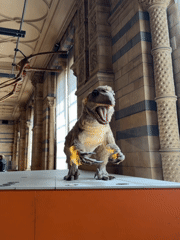Natural History Museum draws crowds viewing dinosaur exhibits, whale skeleton