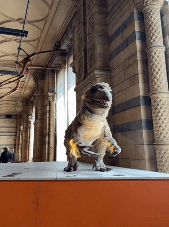 Natural History Museum draws crowds viewing dinosaur exhibits, whale skeleton