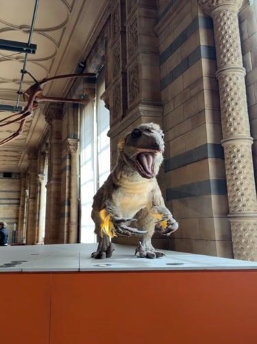 Natural History Museum draws crowds viewing dinosaur exhibits, whale skeleton