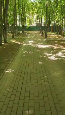 The video shows a pathway in a park. The pathway is made of interlocking pavers and is lined with trees on both sides. Sunlight filters through the leaves of the trees, casting dappled shadows on the pathway. There are streetlights along the pathway and benches can be seen in the background. The overall impression is one of a peaceful and well-maintained park on a sunny day.