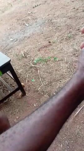 The video shows a person squatting on dirt and pouring a light-colored liquid from a clear glass onto the ground. The ground is brown dirt with small amounts of green vegetation. A wooden chair is partially visible in the background. The person is wearing a dark-colored short-sleeved shirt and a bracelet on their left wrist. Several small, round, yellow objects are scattered on the ground. The person is looking down at the ground as they pour the liquid.