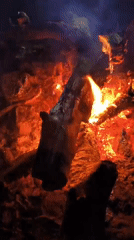 Campfire burning bright on a summer night in rural Kazakhstan