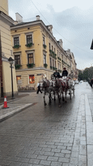 Ornate horse-drawn carriage rolls through wet Kraków cobblestones