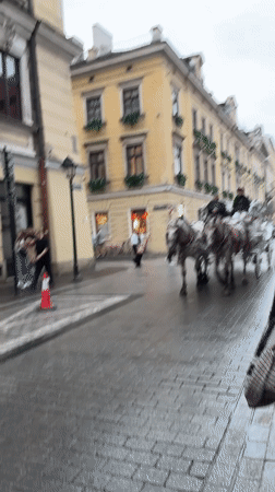 Ornate horse-drawn carriage rolls through wet Kraków cobblestones