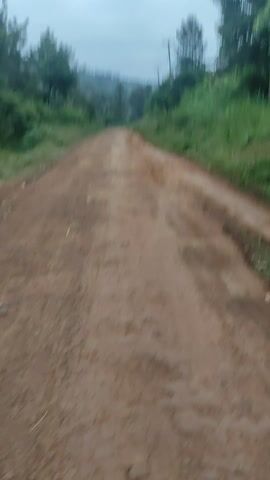 The video shows a dirt road leading through a rural area. The road is reddish-brown and appears wet in places. Tire tracks are visible. Vegetation grows thickly on either side of the road, with trees and lush green plants. Telephone poles are seen in the distance against a hazy, overcast sky. The camera is angled upward, giving the perspective of someone walking or driving along the road.
