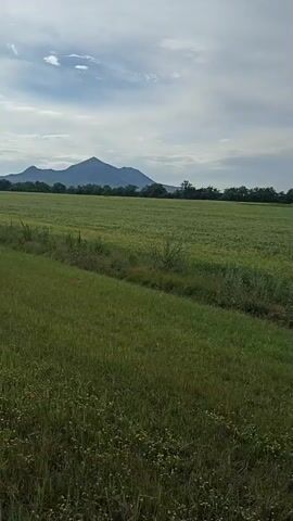 The video pans across a rural landscape with a large, tree-covered mountain in the background. In the foreground, there is a green field with some dry grass and weeds. A dirt path runs along the left side of the field. As the video progresses, the view shifts to a highway with several vehicles driving on it, including vans and cars. A cell tower is visible at the summit of the mountain. The sky is cloudy.