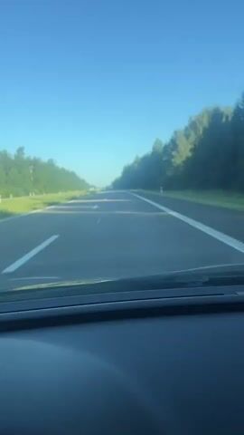 The video shows a first-person perspective of driving on a highway. The road is paved with asphalt and has white lane markings. On the left side of the road, there is a grassy shoulder with some vegetation. On the right side, there is a dense forest. The sky is clear and blue, indicating a sunny day. The sun appears to be low in the sky, possibly indicating early morning or late afternoon. The dashboard of the car is partially visible at the bottom of the frame. The video captures the continuous motion of the car on the road.