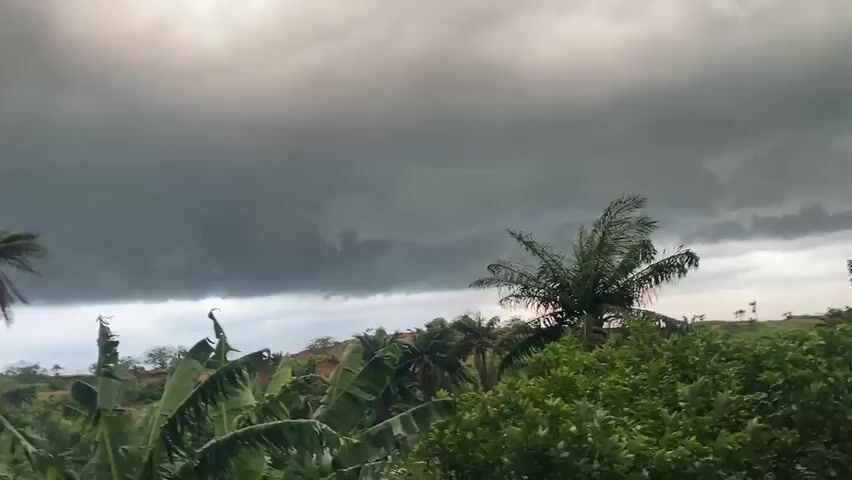 The video shows a landscape with lush green vegetation, including banana and palm trees, set against a backdrop of a dramatic, cloudy sky. The clouds are dark and dense, suggesting an approaching storm. The wind is blowing, causing the trees to sway.
