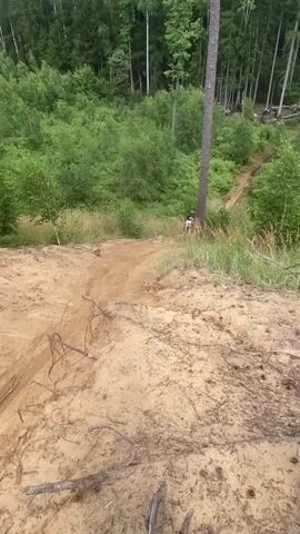 A motocross rider navigates a sandy uphill terrain. The rider is wearing a helmet and protective gear and is on a red and white dirt bike. The terrain is sandy with some exposed tree roots and dry grass. In the background, there is a dense forest with many trees. There are other people present, some watching from the side and one person standing near a tree stump to the left of the frame. The camera is positioned above and slightly in front of the rider, looking down the slope. The scene appears to be an outdoor off-road event or practice session.