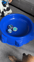 Child plays with Beyblades on couch in Chaikovsky