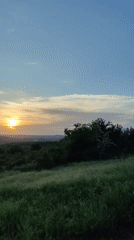 Rural Ukraine sunset captured with wildflowers and countryside scenes