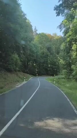 The video shows a paved road curving through a dense forest on a sunny day. Tall trees with green foliage line both sides of the road. White and red striped posts mark the edge of the road. There are yellow and black warning signs visible on the side of the road, indicating curves. The road has a solid white line separating lanes and a broken white line on the edge. The camera appears to be mounted on a moving vehicle, likely a car, providing a first-person perspective of the drive. The overall impression is of a scenic drive through a natural landscape.