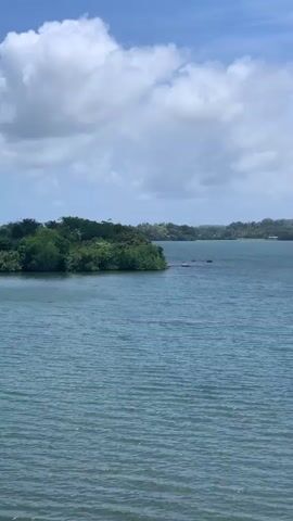 The video shows a body of water, possibly a lake or bay, under a partly cloudy sky. The water is a deep blue, with subtle ripples across the surface. In the distance, a lush green shoreline is visible, dotted with trees. There are some rocks sticking out from the water, near the shoreline, and on the right of the frame. On the right side of the distant shoreline, there is some indistinct infrastructure, possibly utility towers or buildings. The overall impression is one of a calm and somewhat overcast day.