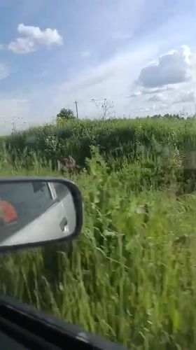 Passenger records rural Russian countryside from moving vehicle