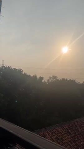 The video shows a view from a balcony or high vantage point looking out over a hazy, tree-filled landscape with a bright sun in the sky. In the foreground, there is a red tiled roof. In the middle ground, there are dark green trees and some power lines running horizontally across the frame. In the background, there are taller trees, a power pylon, and the hazy sun. The overall atmosphere is misty and serene.