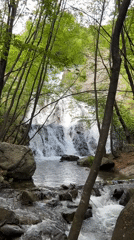 Multi-tiered waterfall documented in Bulgarian forest near Vasil Levski