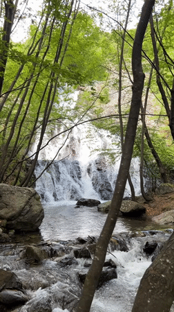 Multi-tiered waterfall documented in Bulgarian forest near Vasil Levski