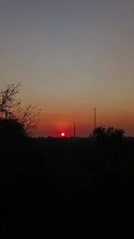 This media file captures a serene sunset in Sumberwaru, Indonesia. The scene is dominated by the warm hues of the setting sun, casting a vibrant red glow across the sky. Silhouetted against this colorful backdrop are several elements. In the foreground, dark, dense foliage and trees create a natural frame, their branches stark and bare against the vibrant sky.

Rising from the dark landscape are two tall communication towers, their skeletal structures piercing the horizon. One tower is positioned slightly to the left of the sun, while the other stands further to the right, both appearing as industrial sentinels against the natural beauty of the sunset. A single, small red circle, presumably the sun itself, hovers just above the tree line, its intense color a focal point of the image. The sky transitions from a deep blue at the top to a soft orange and then a fiery red as it approaches the horizon. A few faint birds or insects can be seen as tiny specks in the sky.

The overall mood is one of tranquility and natural beauty, with a touch of man-made presence in the form of the towers. The time of day is clearly sunset, evidenced by the color of the sky and the position of the sun. The location is suggested to be rural or semi-rural, given the presence of trees and open landscape, contrasted with the modern communication infrastructure. There is no visible text in the media file.