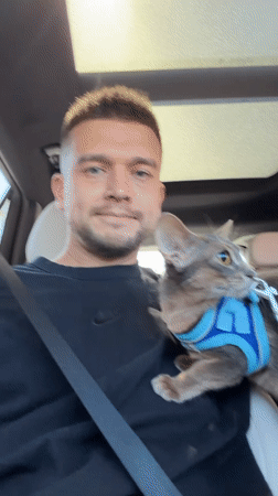Evening car ride with cat passenger in Los Angeles