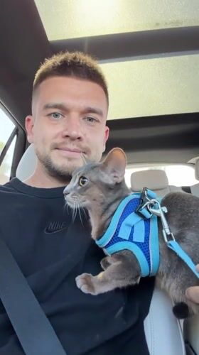 Evening car ride with cat passenger in Los Angeles