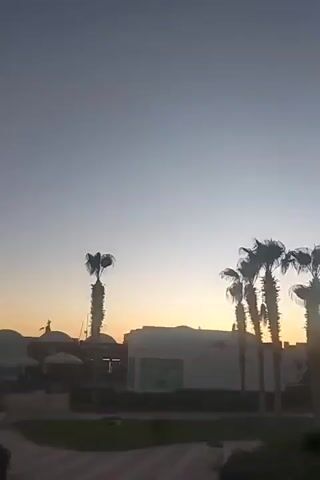 A video captures a dawn or dusk scene. In the foreground, a large palm tree trunk dominates the right side of the frame. Beyond it, a pathway curves to the left. In the mid-ground, several other palm trees stand silhouetted against a pale orange sky. Behind the trees, there are buildings, one with a sign that appears to read "Sham". A road with streetlights is visible in the background, and a few indistinct figures walk in the far right. The sky is a gradient of light blue at the top transitioning to a soft orange near the horizon.