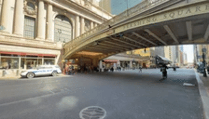 Multi-flag demonstration marches through New York streets Sunday afternoon