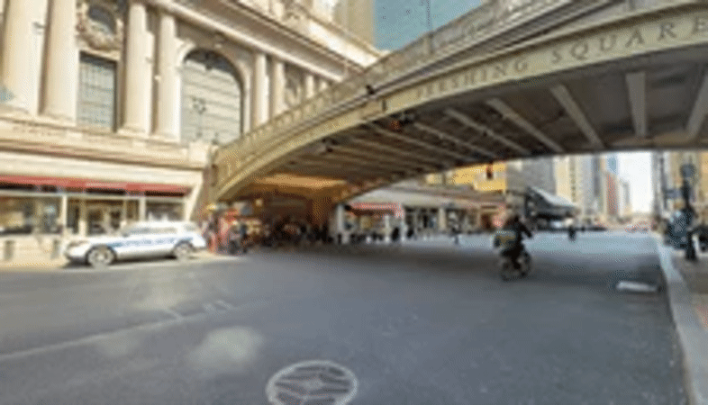 Multi-flag demonstration marches through New York streets Sunday afternoon