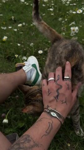The video shows a close-up view of a person's tattooed arm and hand petting a calico cat in a grassy area with white daisies. The person is wearing a white sneaker with green accents. The cat is looking at the person's hand.