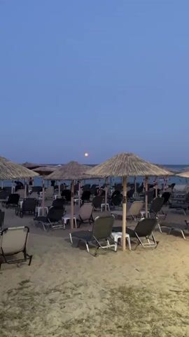 A full moon rises over a beach at dusk. The sky is a deep blue, fading to lighter shades near the horizon. The moon is a bright orange circle, visible in the center of the frame. Beach umbrellas, made of straw, are set up in rows on the sand. They provide shade for rows of empty lounge chairs. Some people are visible in the background, sitting on the lounge chairs or walking between them. The ocean is visible in the distance, a dark line separating the sky from the sand. The overall mood is peaceful and serene.