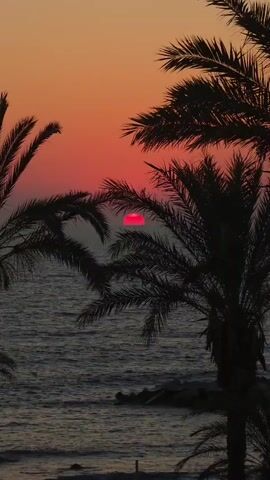The video captures a tranquil scene of a sunset over the ocean, framed by the silhouettes of palm trees. The sun, a vibrant red orb, is partially obscured by the fronds of the palm trees, casting a warm glow across the sky and water. The ocean appears calm, with gentle waves lapping at the shore. The overall atmosphere is one of peace and serenity, evoking the feeling of a tropical paradise.