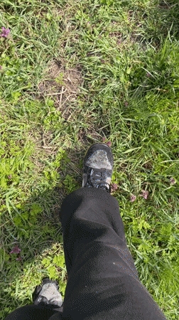Spring farming activity documented in rural Bulgaria countryside