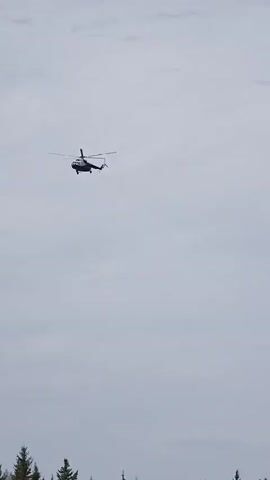 A helicopter is shown flying in a cloudy sky. The helicopter is gray and black and is above a line of green trees.  The helicopter is slightly angled toward the left. The sky is mostly gray but slightly blue toward the top.