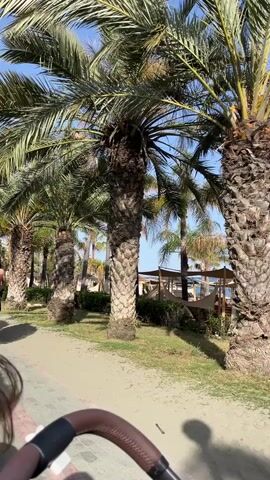 The video shows a palm-tree lined walkway, likely near a beach. A shirtless man with a beard is running down the walkway. Part of a stroller is visible in the lower portion of the frame, suggesting the video is being taken from that perspective. The weather is sunny and the sky is blue. There are beach loungers visible in the background.