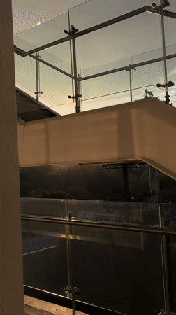 Mexico City resident documents modern architecture during golden hour