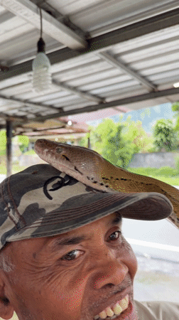 Rainy morning visitors explore Balinese temple with dancer statue