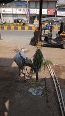 Morning street life documented across Mumbai during ten-minute span