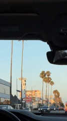 Snapshots of LA streets, a Brazilian flag, and a Jackass billboard
