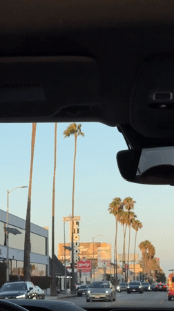 Snapshots of LA streets, a Brazilian flag, and a Jackass billboard