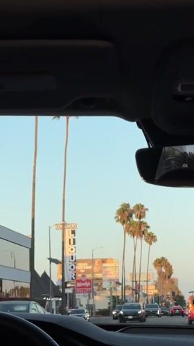 Snapshots of LA streets, a Brazilian flag, and a Jackass billboard