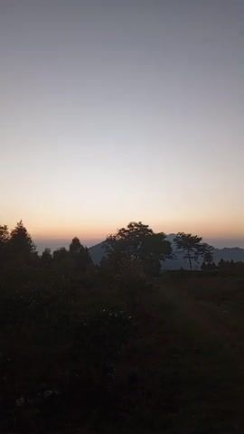 This is a vertical video of a landscape at dusk. The sky is a gradient of pale gray and soft orange near the horizon. Silhouetted trees and hills are visible in the background. In the foreground, there is dark vegetation and a dirt path. The lighting suggests it is either sunrise or sunset. There are no people or animals visible in the video. The camera is stationary.